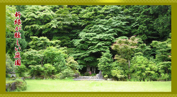 高野山宿坊上池院の新緑が眩しい庭園