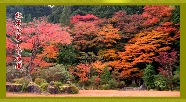 高野山宿坊上池院の紅葉が美しい庭園